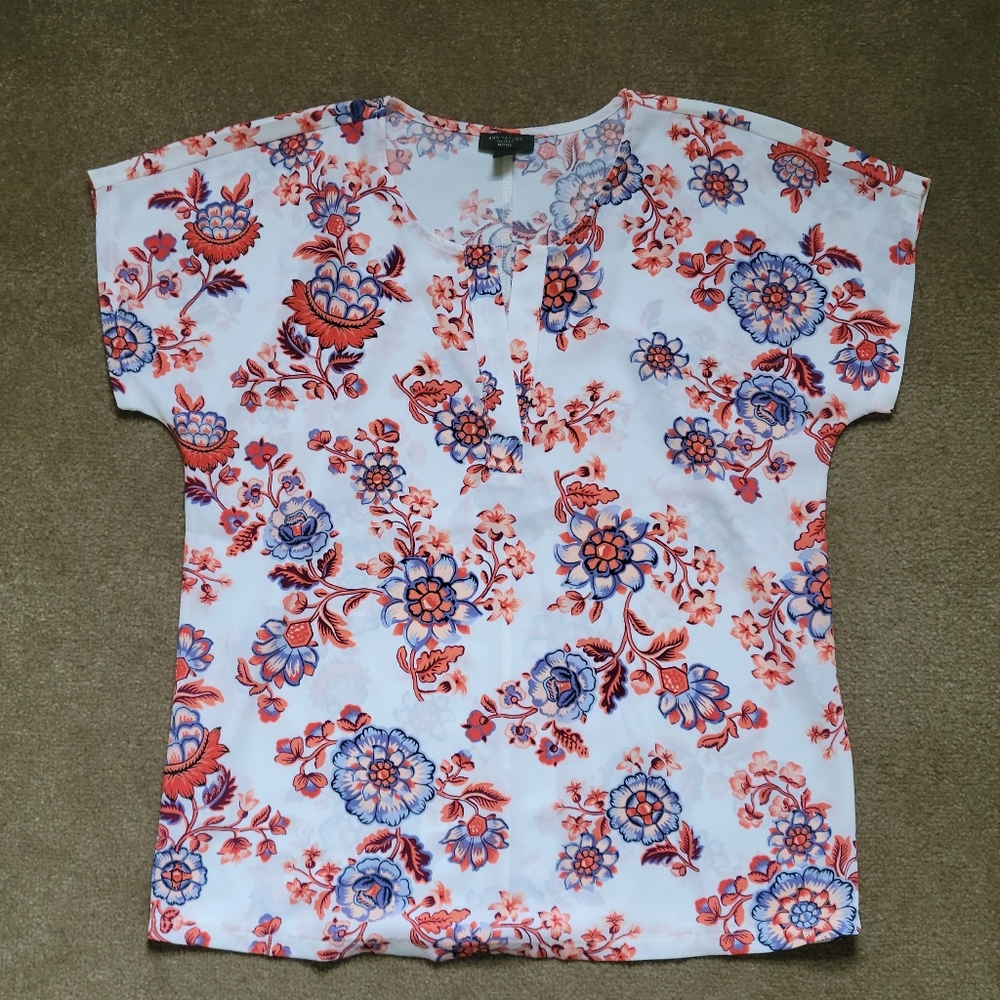 Ann Taylor Top